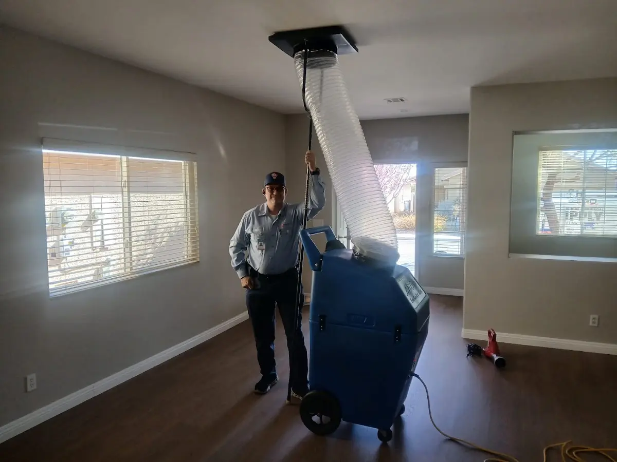 Professional Dryer Vent Cleaning work inside a Zionsville home